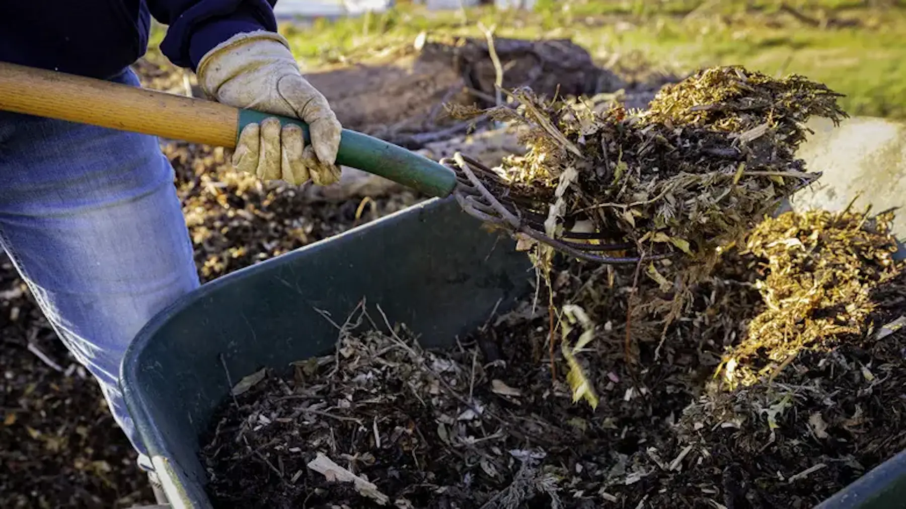 Gardening Ministry